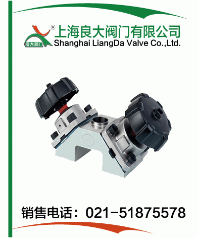 衛(wèi)生級手動(dòng)隔膜閥